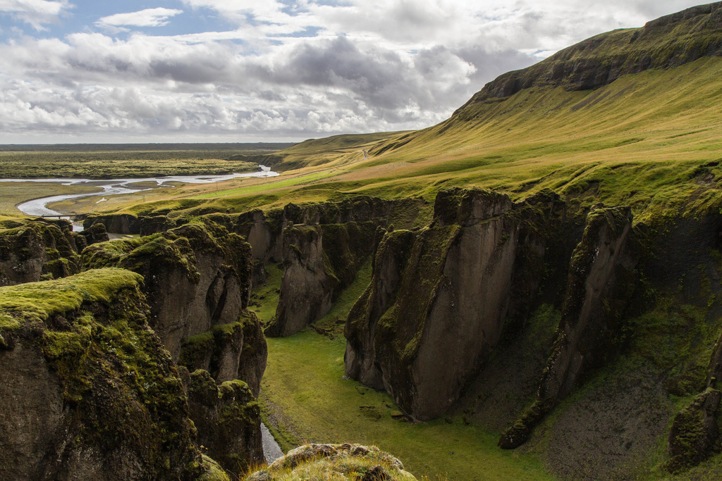 лесные ресурсы исландии